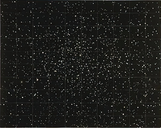 Vija Celmins Website: Exploring the Digital Archive of a Contemporary Master - STRATA 1983 by Vija Celmins