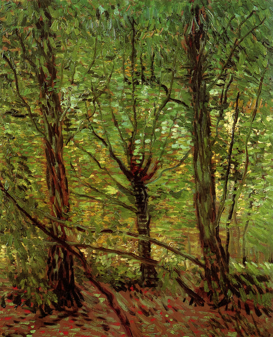 Vincent van Gogh Art Posters: A Curator's Guide to Collecting Museum-Quality Prints - Trees and Undergrowth by Vincent van Gogh