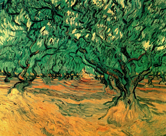 Vincent van Gogh Sunflowers Original: The Story Behind the Iconic Series - Olive Trees by Vincent van Gogh