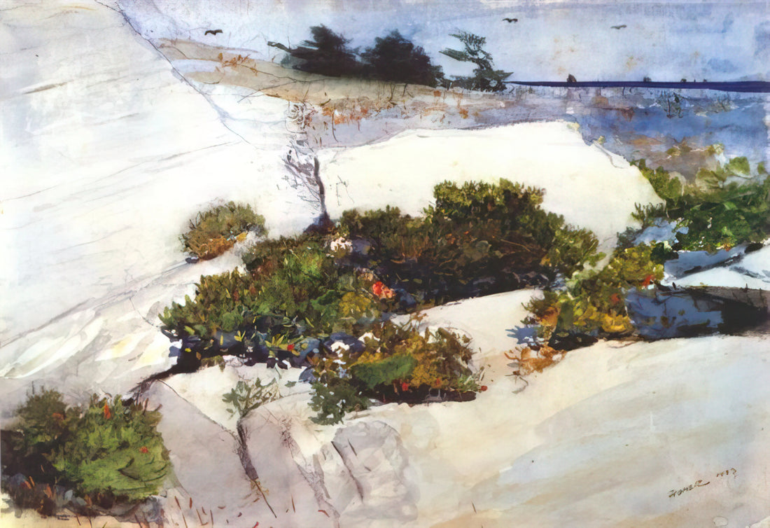 Winslow Homer Famous Works: A Curator's Guide to His Defining Masterpieces - MAINE CLIFFS by Winslow Homer