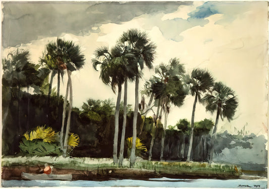 Winslow Homer at the Cape Ann Museum: A Deep Dive into the Artist's Coastal Mastery - THE TURKEY BUZZARD by Winslow Homer