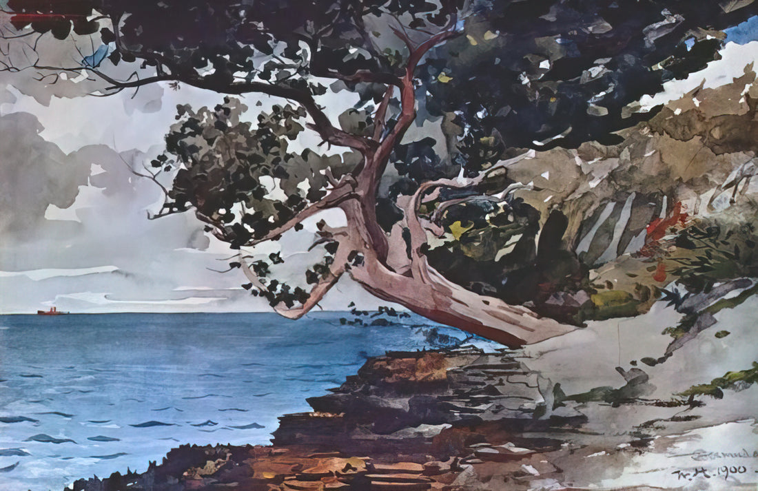 Winslow Homer's 'The Dinner Horn': A Masterpiece of American Realism and Rural Life - NORTH ROAD BERMUDA by Winslow Homer