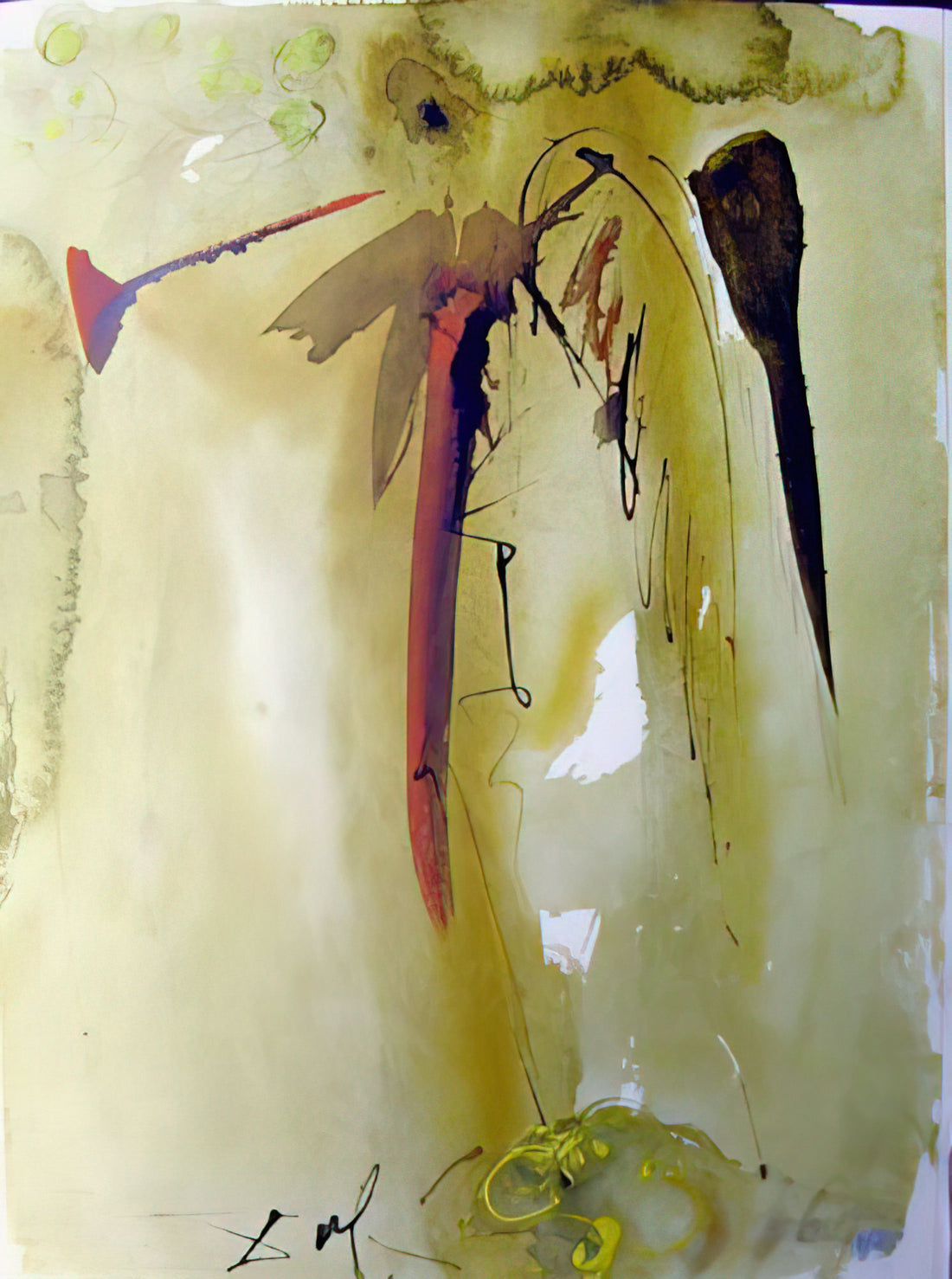 Wie und wo kann man originale Kunstwerke von Salvador Dalí kaufen?