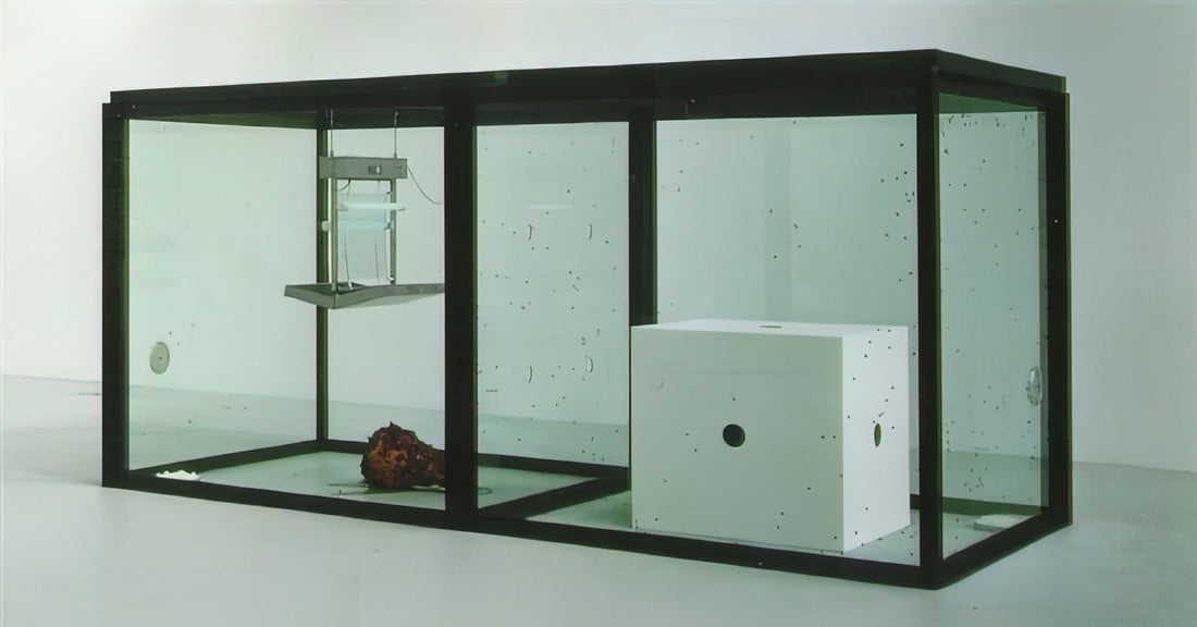 What Does Damien Hirst’s *A Thousand Years* (1990) Really Mean? A Curator’s Analysis