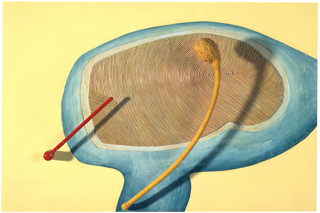 Warum sind Eva Hesse Kunstdrucke ein Muss für moderne Kunstliebhaber?