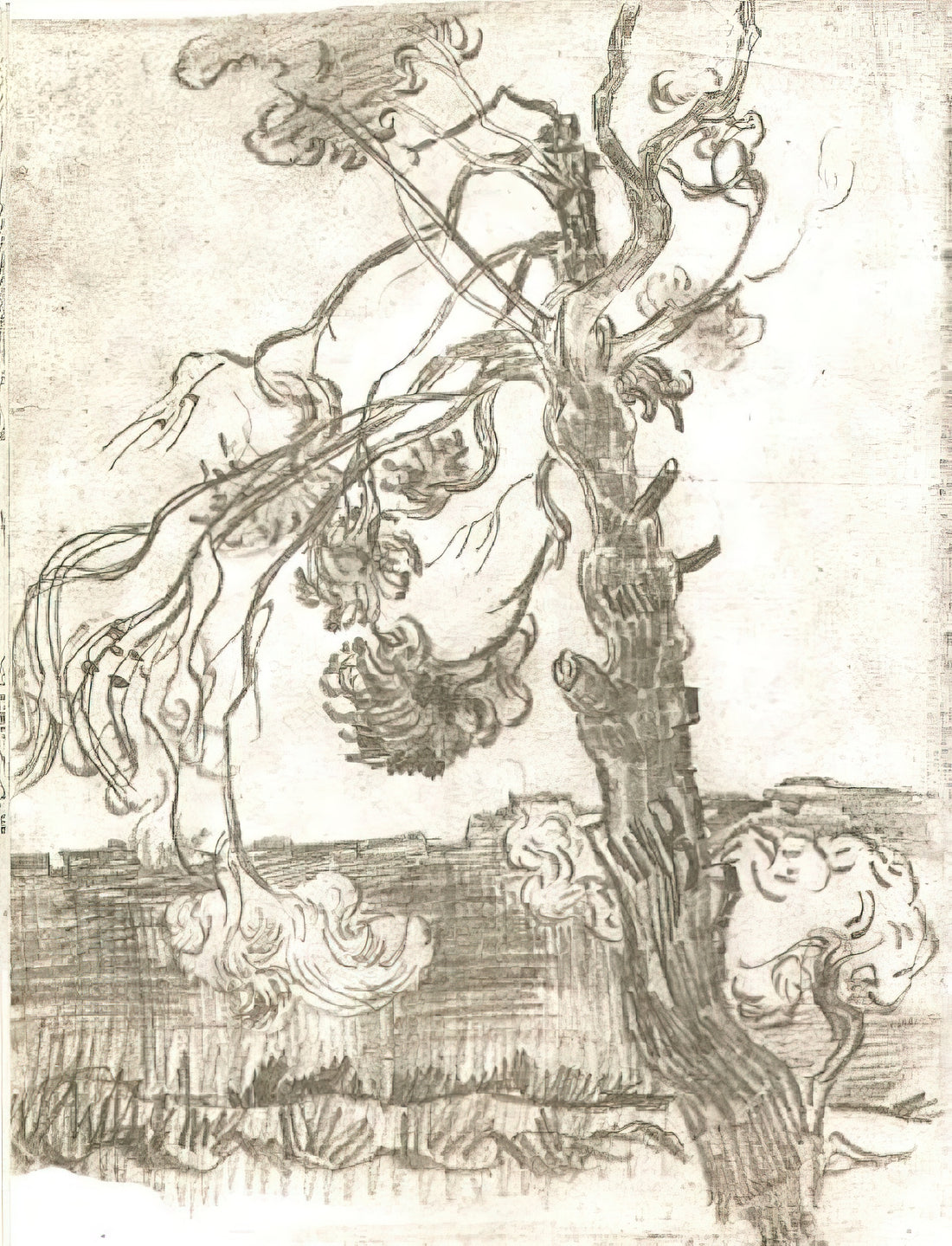 Vincent van Gogh: Ein tiefer Einblick in das Leben und Werk des Meisters