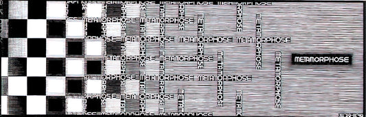 What Is Escher’s Metamorphosis II? Decoding the Masterpiece of Optical Illusion and Transformation