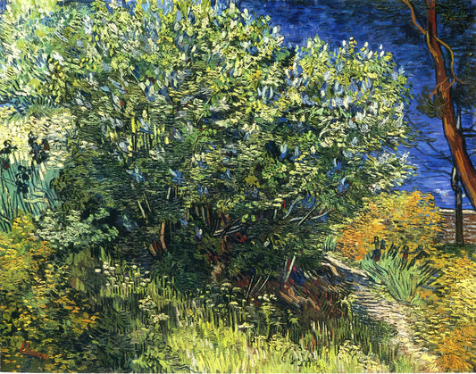 Was macht Vincent van Goghs Mohnfeld so besonders?