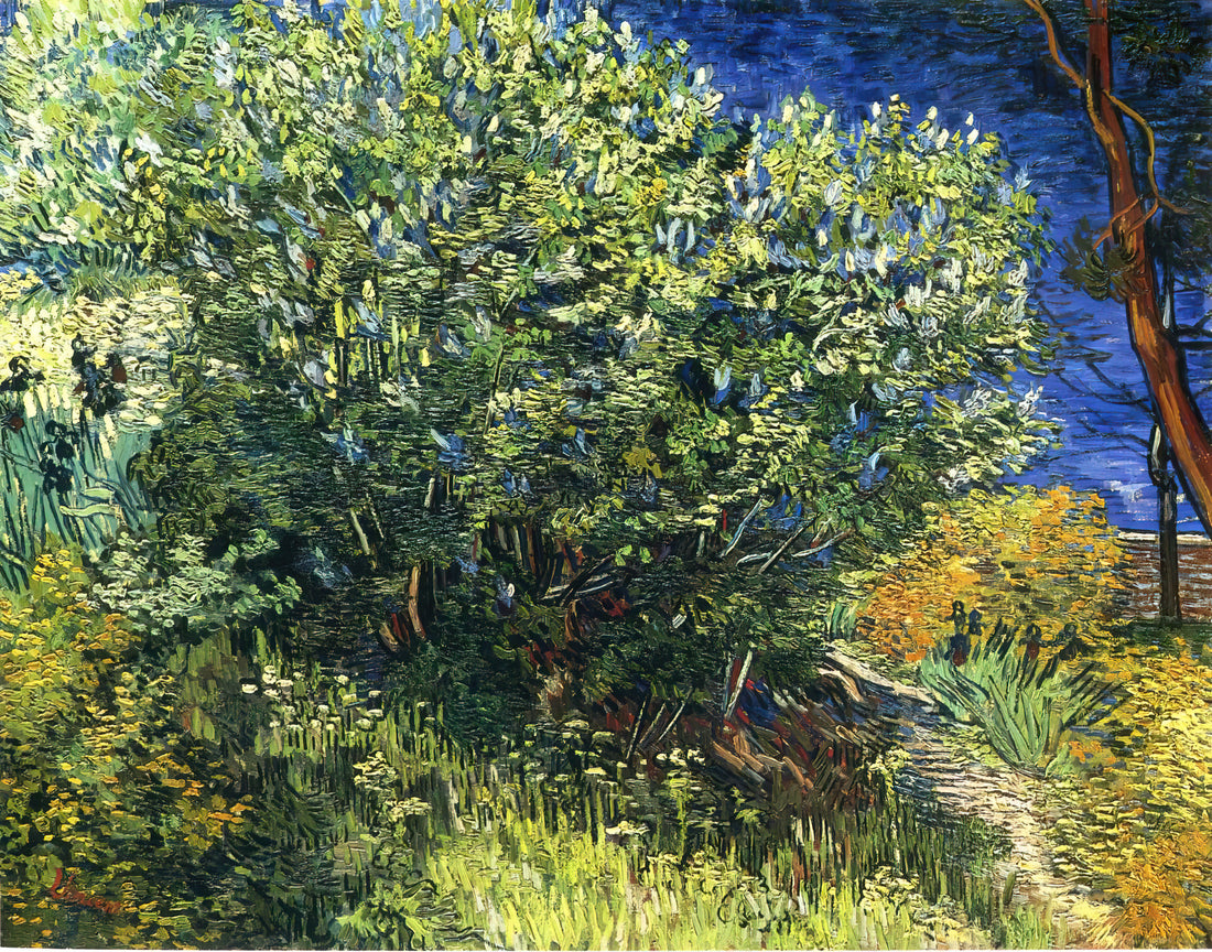 Vincent van Gogh: Ein tiefer Einblick in das Leben und Werk des Meisters