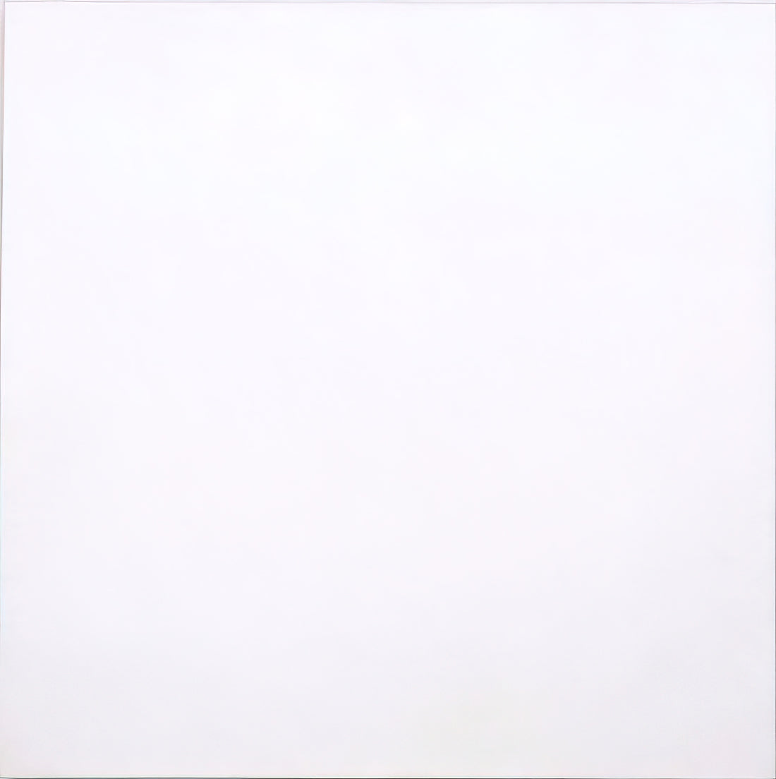 What Does Robert Rauschenberg’s White Painting (1951) Really Mean?