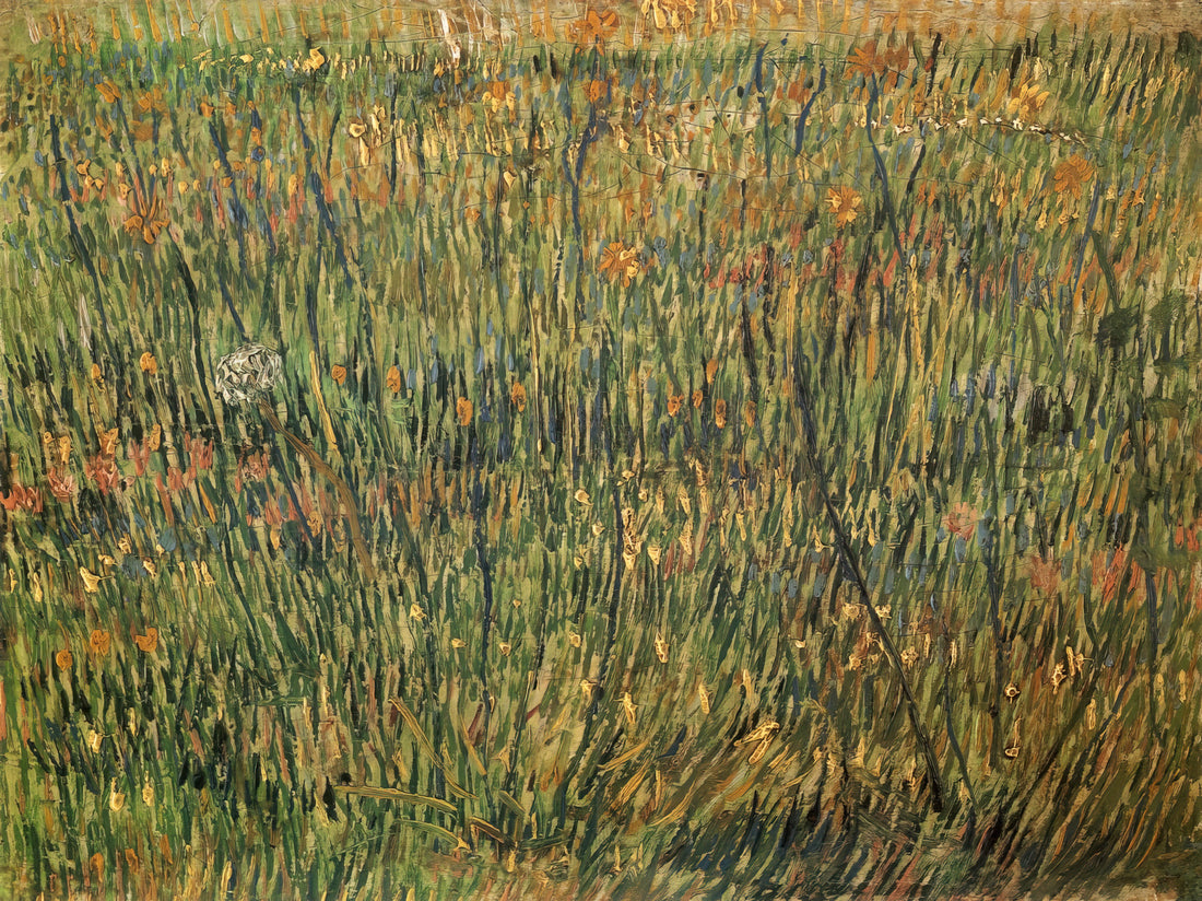 Was macht Van Goghs Federzeichnungen so besonders?