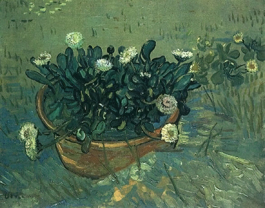 Was macht Vincent van Goghs Sternennacht so besonders?