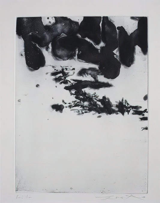 Wer war Zao Wou-Ki und warum ist seine Kunst so bedeutend?