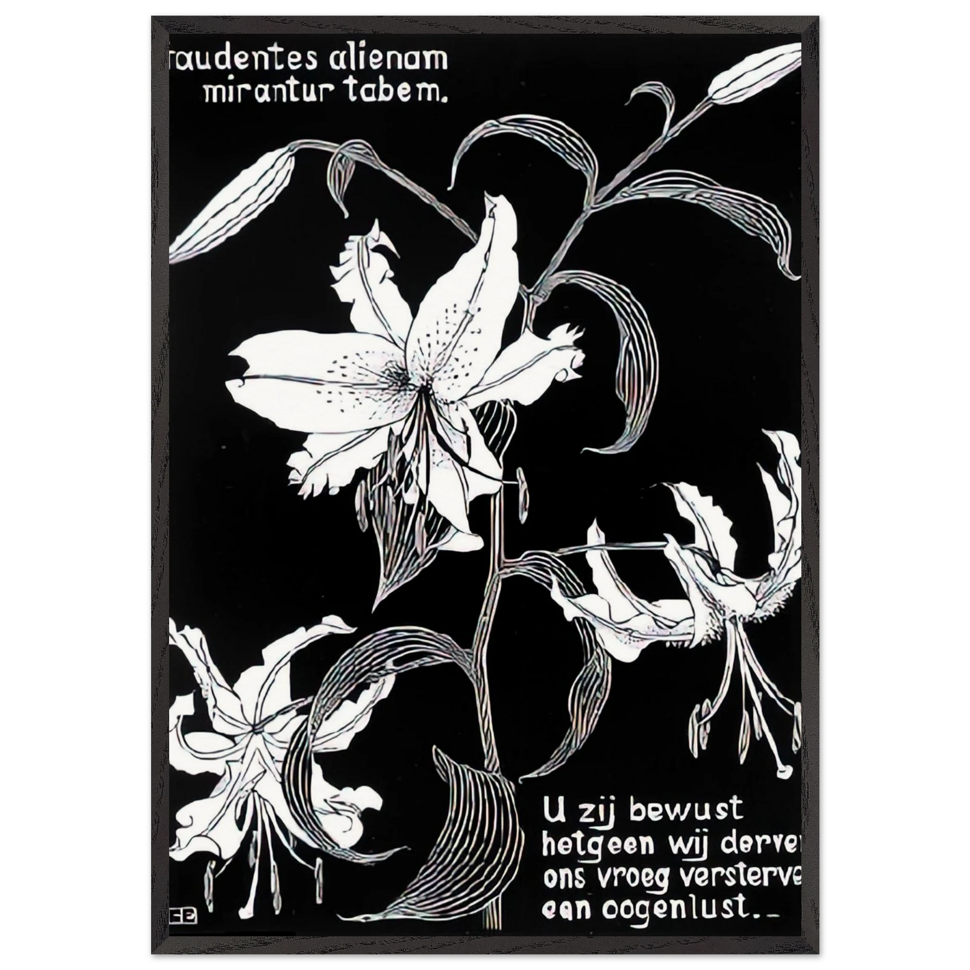 Flowers N2 - MC Escher Framed Art Print – Black Wooden Frame - Default Title - -Framed Art Print