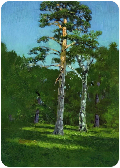 01185051-c446-41b3-aa07-6fd41e9c2723