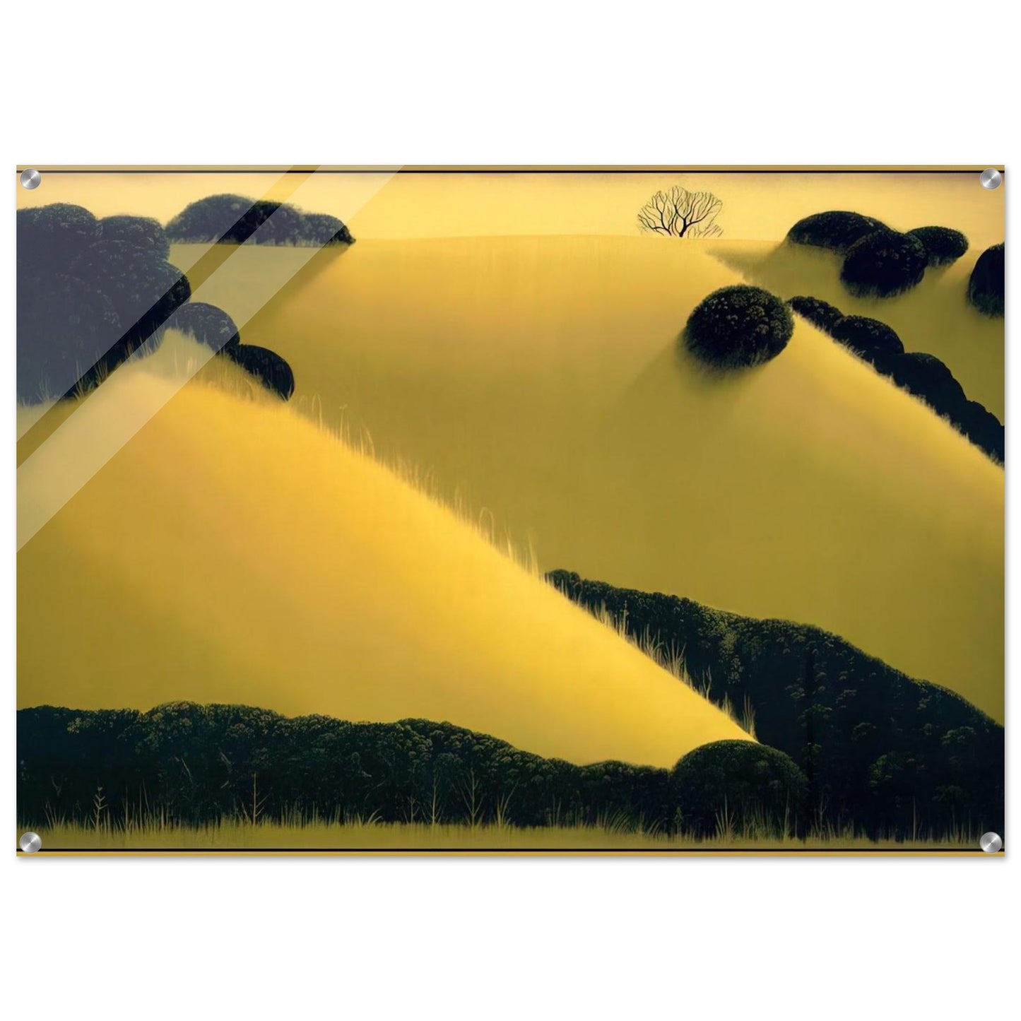 01b05ae1-46dd-41dc-a437-9359919eb14c