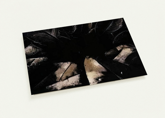 01b5583b-a191-4073-92df-4a1a60d3878a