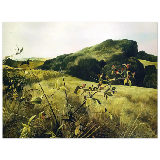 Andrew Wyeth - BLACKBERRY PICKER Wall Art - 21x29.7 cm / 8x12" - Fine Art Poster - -