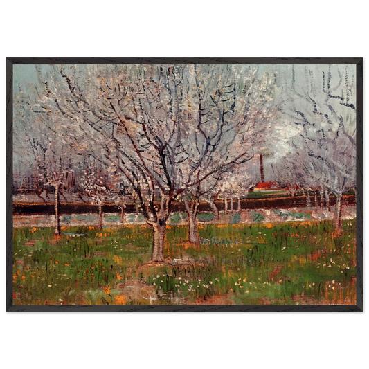 Orchard in Blossom Plum Trees - Vincent van Gogh 70x100 cm / 28x40 inches Framed Art Print – Black Wooden Frame