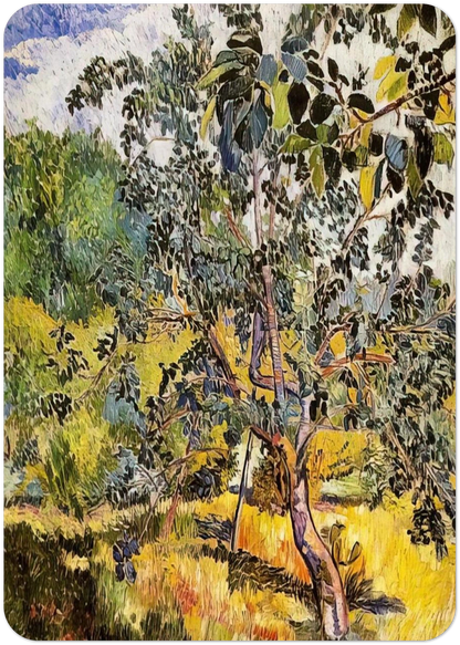 Corner of a garden Sun - Post-Impressionism By Natalia Goncharova Pack of 10 Post Cards | Natalia Goncharova Post Cards | A6 (10.5 x 14.8 cm) - 4.1 x 5.8 inches