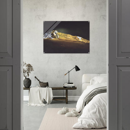 0385a4f1-97be-4b76-91cf-af6ab927e0eb