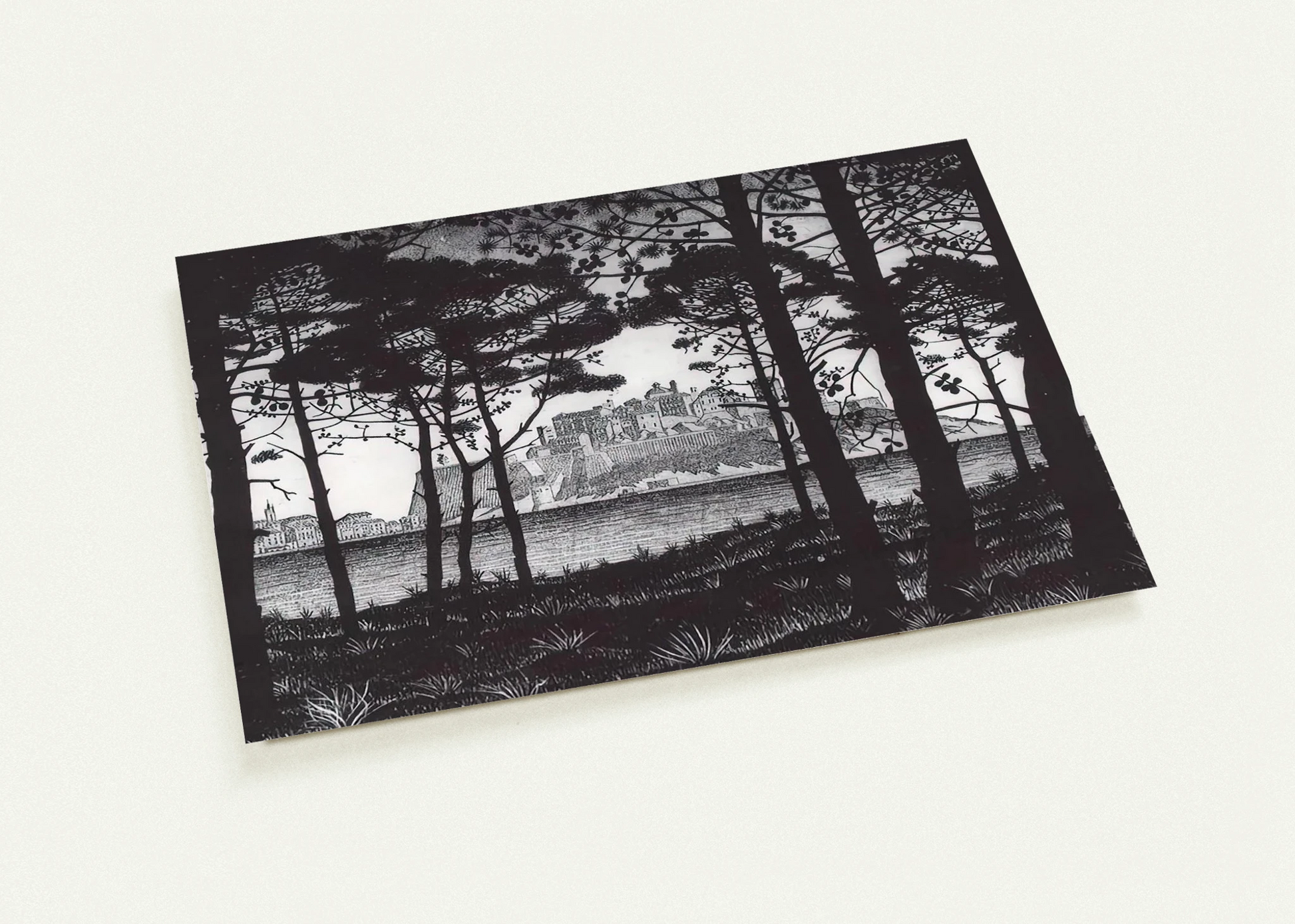 03f1e54c-34f7-4571-955d-60ddf117daf3