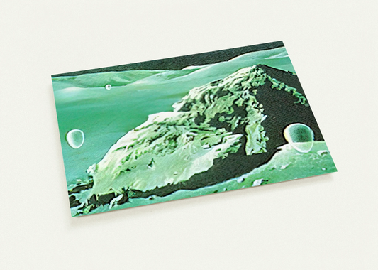 03fbf2b2-6c76-4bb3-a983-c0e38531e342