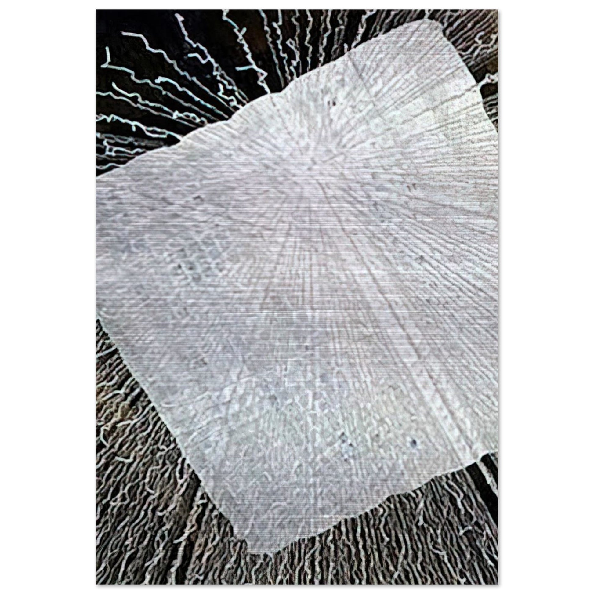 CLOUD SERIES V 1978 - Lenore Tawney Brushed Aluminum Print - 70x100 cm / 28x40 inches | Lenore Tawney Aluminum Print | Lenore Tawney Prints