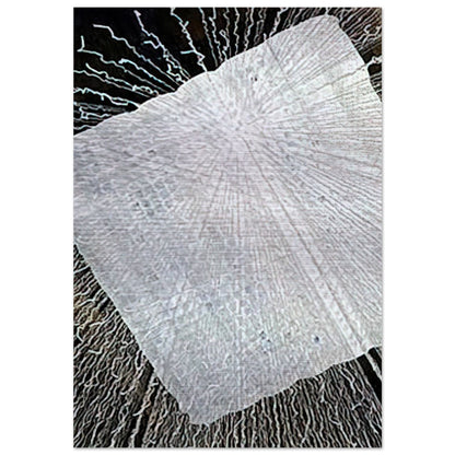 CLOUD SERIES V 1978 - Lenore Tawney Brushed Aluminum Print - 70x100 cm / 28x40 inches | Lenore Tawney Aluminum Print | Lenore Tawney Prints