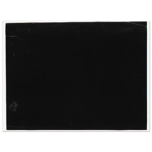 Ellsworth Kelly - Black Fine Art Poster - Default Title