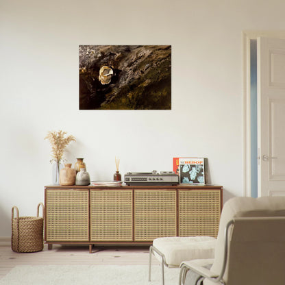 05046d07-e3b9-463d-987b-6b3fd9c5c9ad