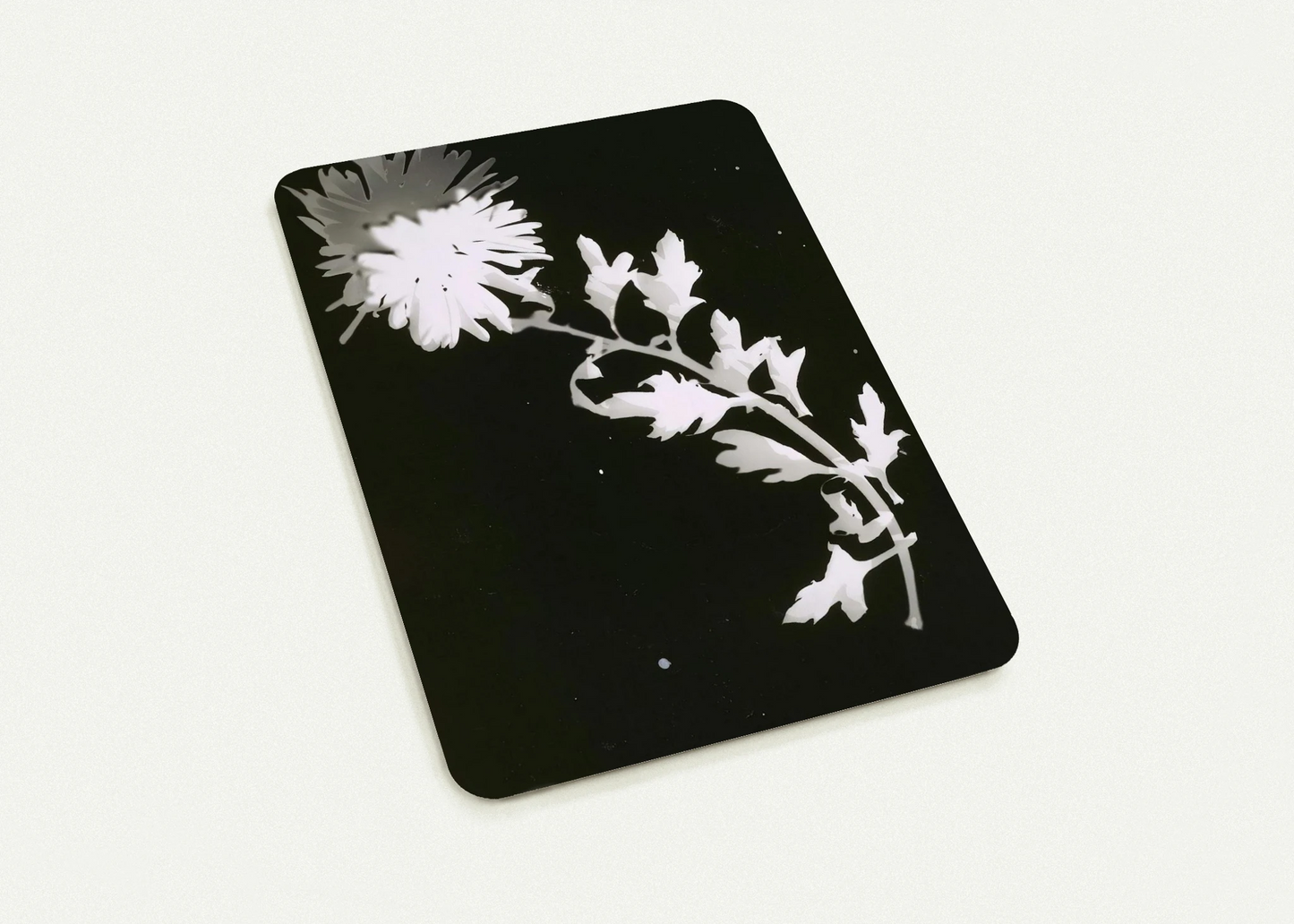 Flower By Laszlo Moholy-Nagy Pack of 10 Post Cards | Laszlo Moholy-Nagy Post Cards | A6 (10.5 x 14.8 cm) - 4.1 x 5.8 inches