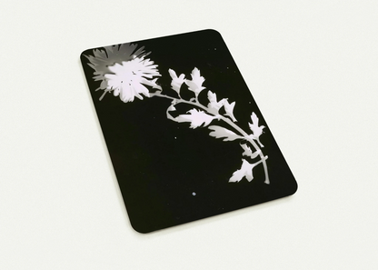 Flower By Laszlo Moholy-Nagy Pack of 10 Post Cards | Laszlo Moholy-Nagy Post Cards | A6 (10.5 x 14.8 cm) - 4.1 x 5.8 inches