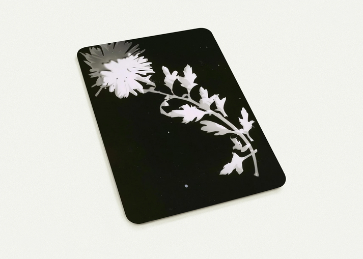 Flower By Laszlo Moholy-Nagy Pack of 10 Post Cards | Laszlo Moholy-Nagy Post Cards | A6 (10.5 x 14.8 cm) - 4.1 x 5.8 inches