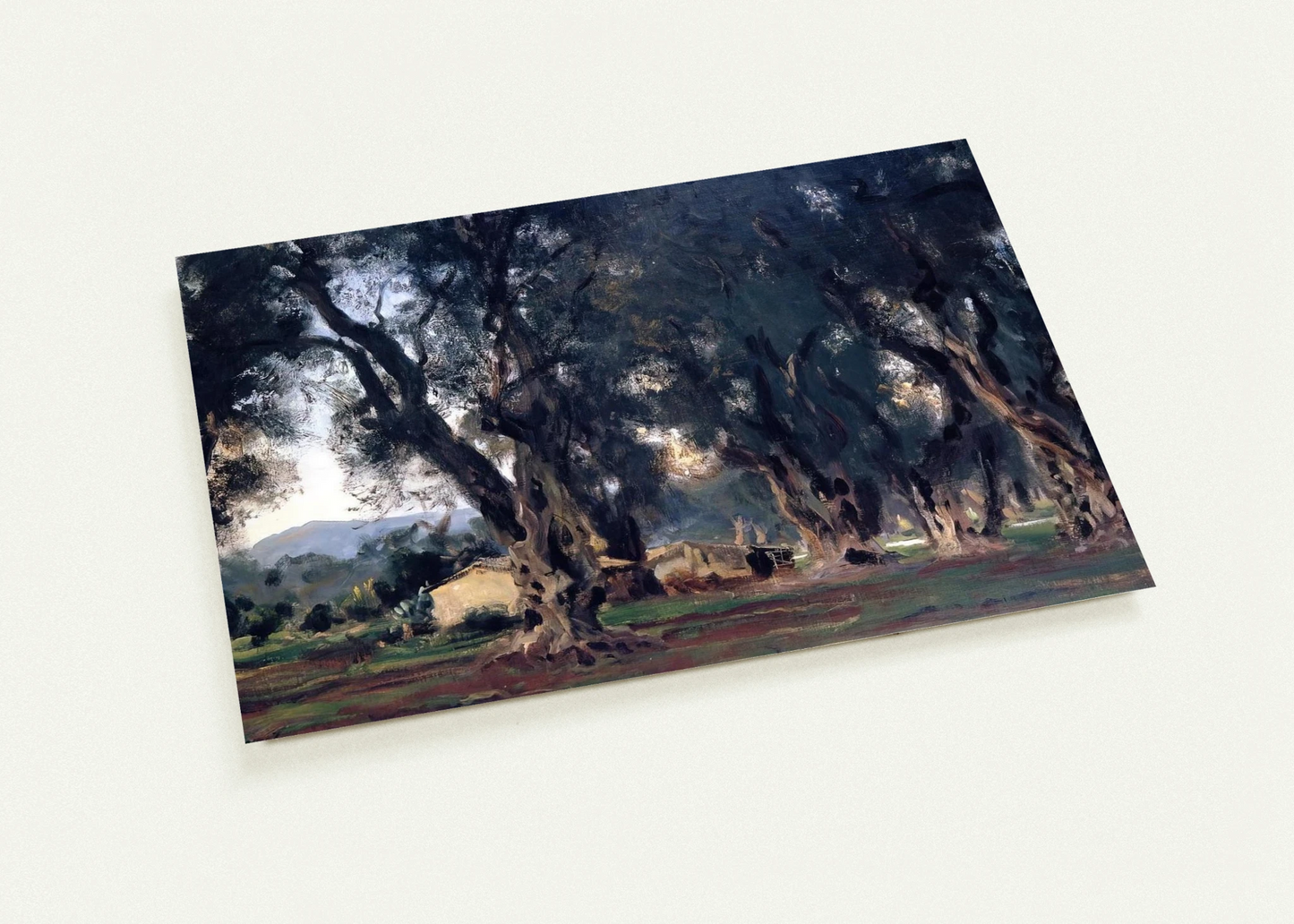 Olive Trees at Corfu By John Singer Sargent Pack of 10 Post Cards | John Singer Sargent Post Cards | A6 (10.5 x 14.8 cm) - 4.1 x 5.8 inches