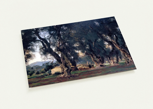 Olive Trees at Corfu By John Singer Sargent Pack of 10 Post Cards | John Singer Sargent Post Cards | A6 (10.5 x 14.8 cm) - 4.1 x 5.8 inches