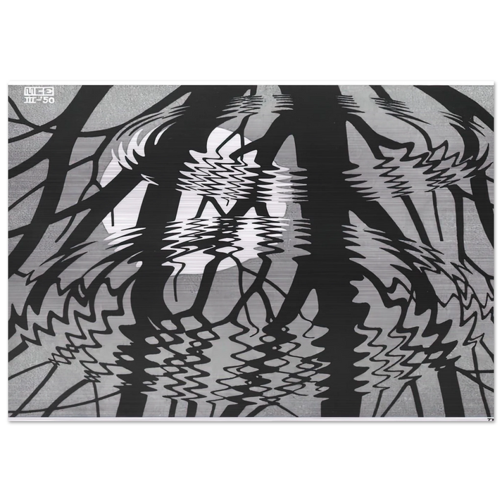 RIPPLED SURFACE - MC Escher Brushed Aluminum Print - 70x100 cm / 28x40 inches | MC Escher Aluminum Print | MC Escher Prints