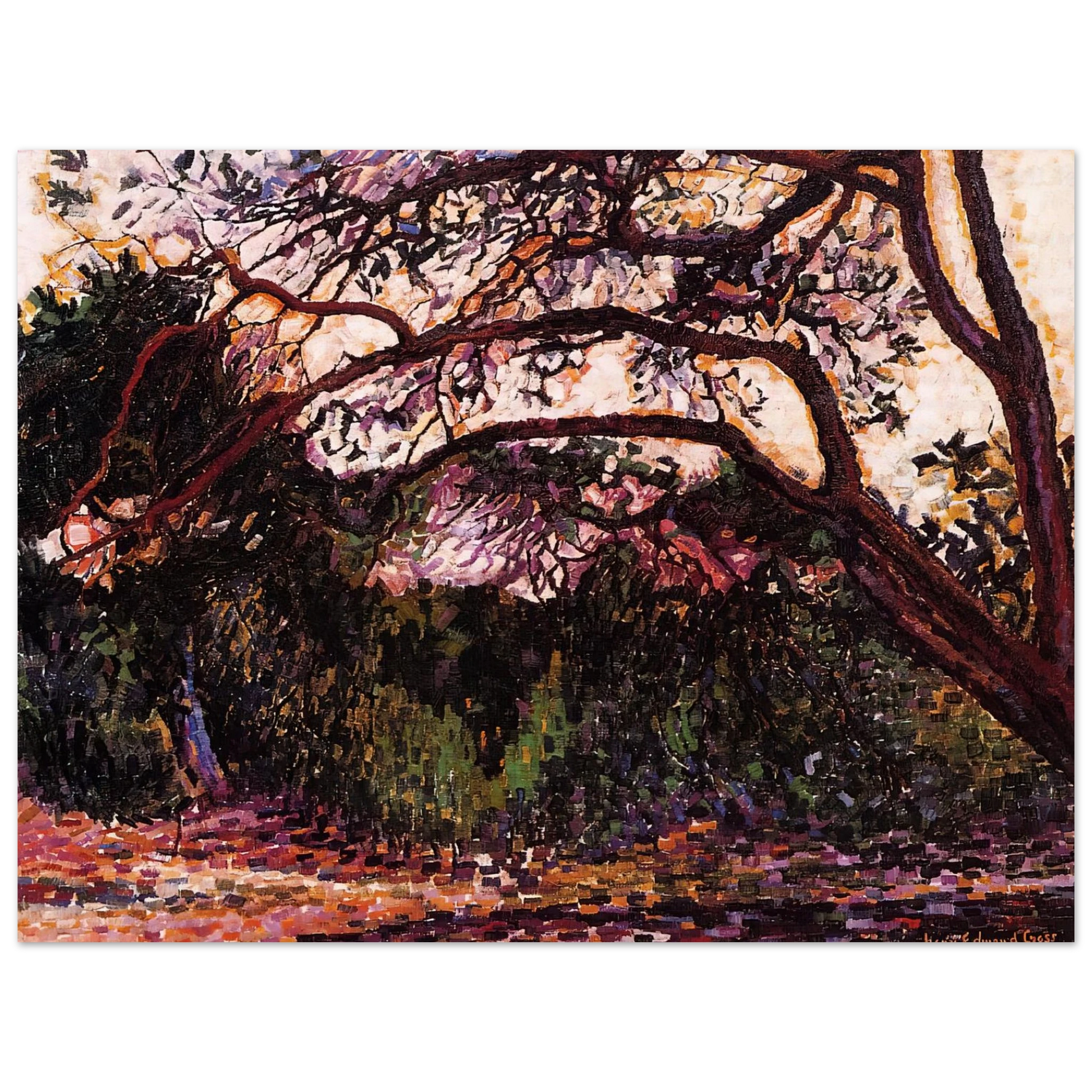 Henri-Edmond Cross - Wooded Landscape Fine Art Poster - Default Title