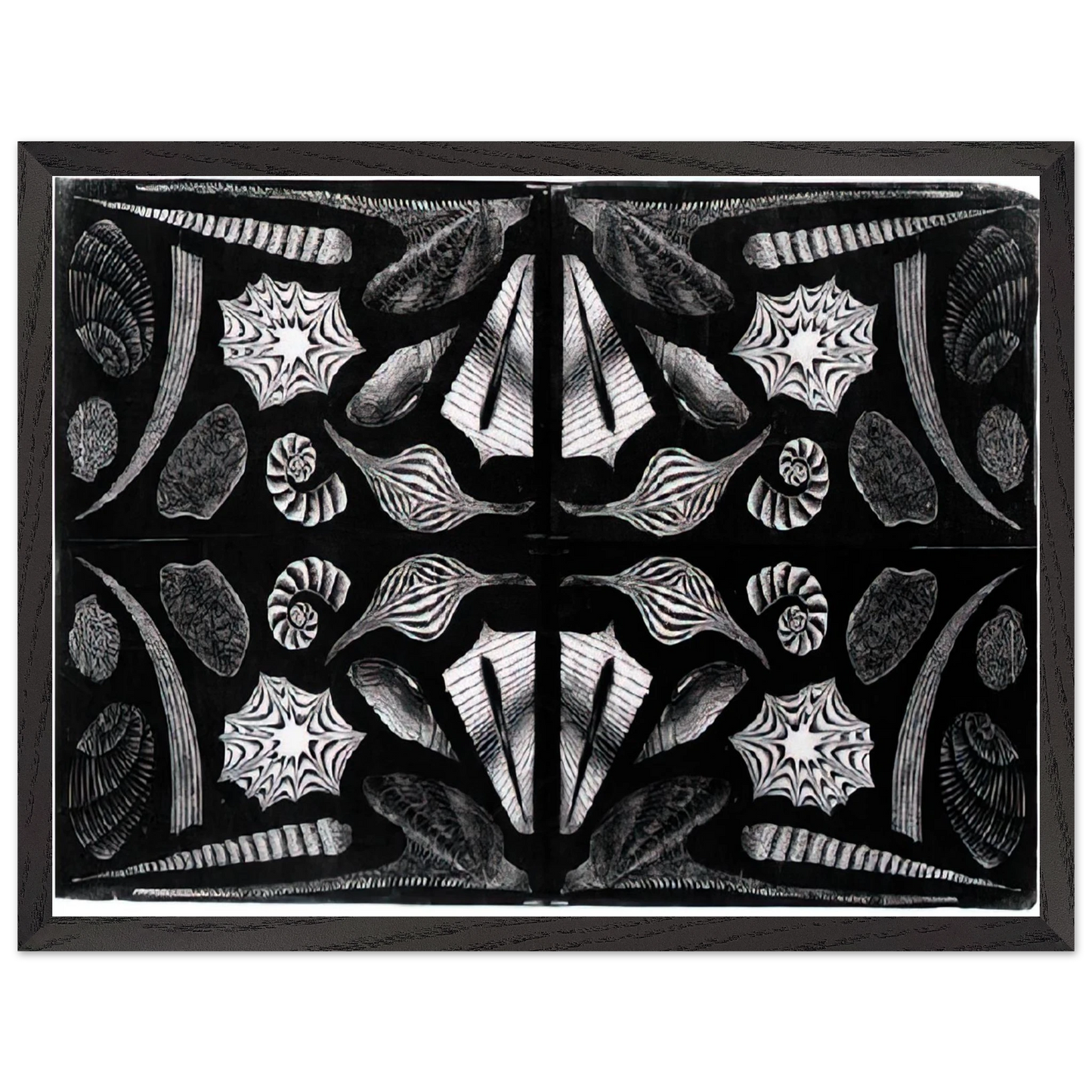 MC Escher - ESCHER (5) Wall Art - 30x40 cm / 12x16 inches - Fine Art Poster - -