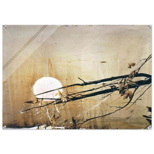 FULL MOON 1980 - Andrew Wyeth Acrylic Print - 70x100 cm / 28x40″ inches