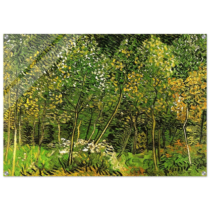 The Grove - Vincent van Gogh Acrylic Print - 70x100 cm / 28x40″ inches