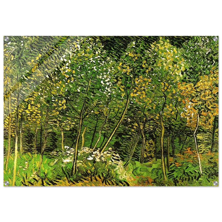 The Grove - Vincent van Gogh Acrylic Print - 70x100 cm / 28x40″ inches