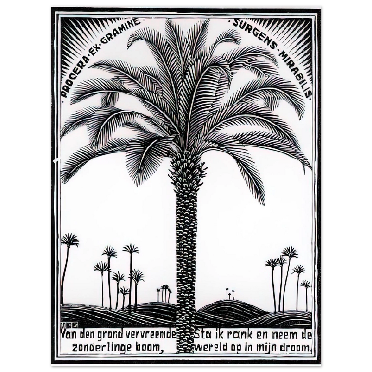 MC Escher - PALM TREE 1 Wall Art - 21x29.7 cm / 8x12" - Fine Art Poster - -