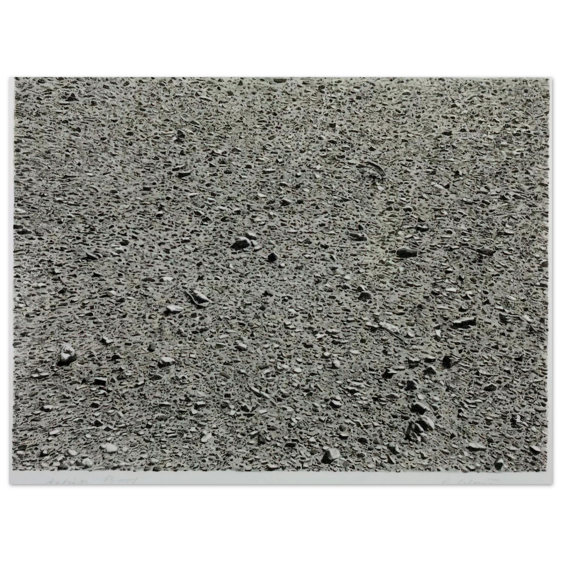 Vija Celmins - DESERT 1975 Fine Art Poster - Default Title