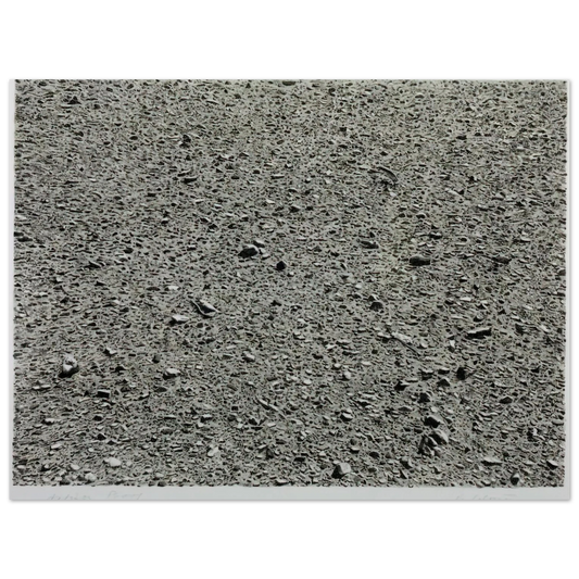 Vija Celmins - DESERT 1975 Fine Art Poster - Default Title