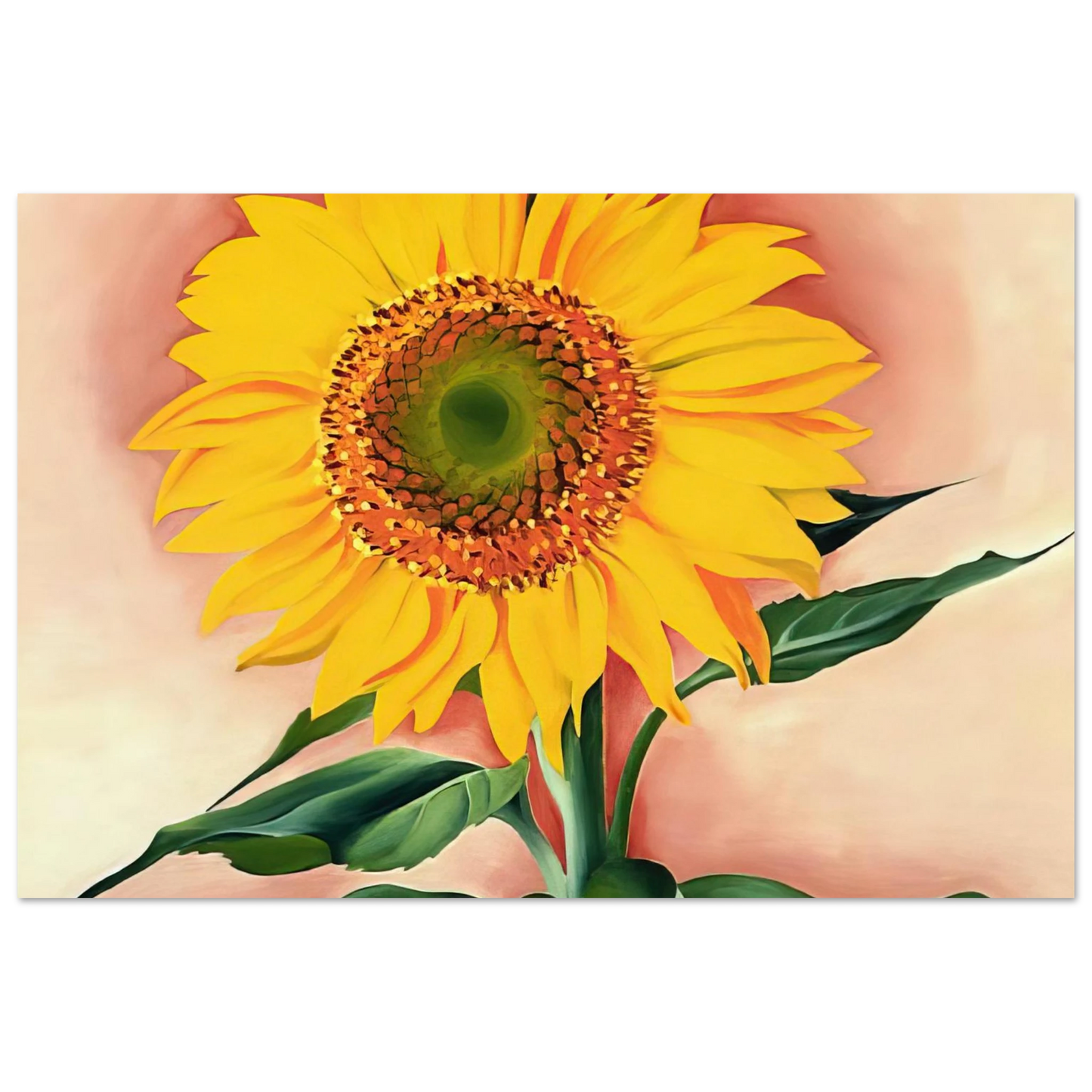 Georgia O'Keeffe - A Sunflower from Maggie Fine Art Poster - 75x100 cm / 30x40 inches