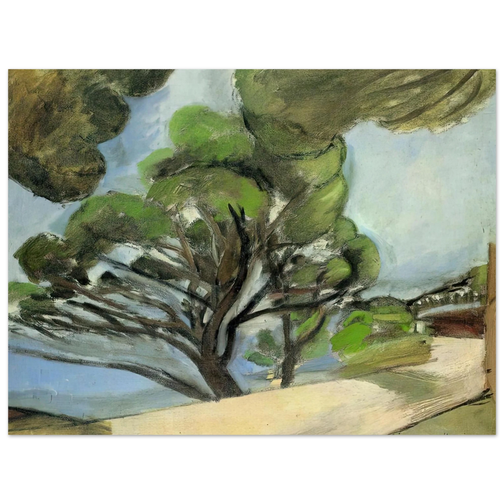 Henri Matisse - NOT IDENTIFIED 13  75x100 cm / 30x40inches Fine Art Poster