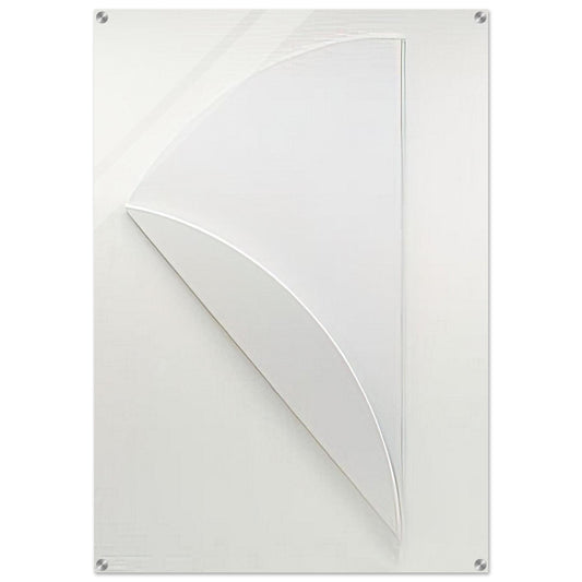 White Relief over White - Ellsworth Kelly Acrylic Print - 70x100 cm / 28x40″ inches