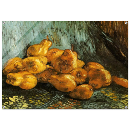 Still Life with Pears - Vincent van Gogh Acrylic Print - 70x100 cm / 28x40″ inches