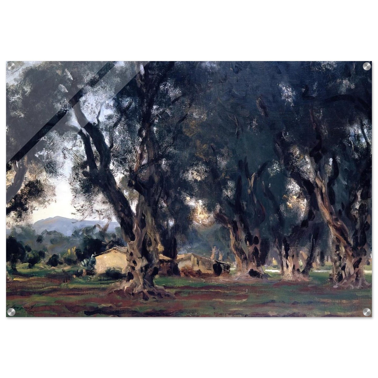 Olive Trees at Corfu - John Singer Sargent Acrylic Print - 70x100 cm / 28x40″ inches